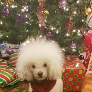 Meet your Posher, Carole